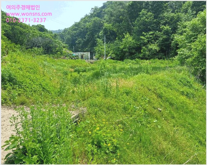 »çÁø8¹øÂ° | 2025Ÿ°æ30567 | ÃæÃ»ºÏµµ ÃæÁֽà ¼ÒŸé ÁÖÄ¡¸® ´ä°æ¸Å