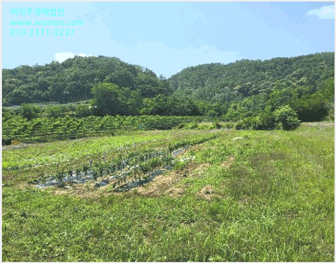 »çÁø8¹øÂ° | 2025Ÿ°æ890 | °æ»óºÏµµ ¿µÃµ½Ã °í°æ¸é Àü»ç¸® Àü°æ¸Å
