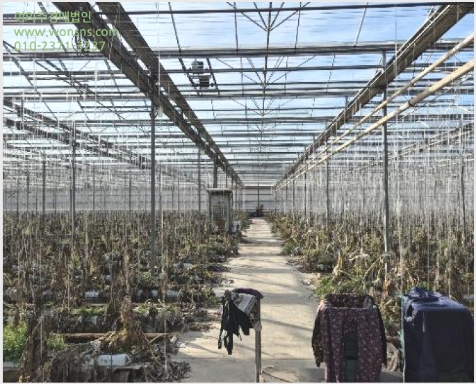 »çÁø1¹øÂ° | 2024Ÿ°æ32282 | °æ»ó³²µµ Å뿵½Ã ¿ë³²¸é ¿øÆò¸® â°í°æ¸Å