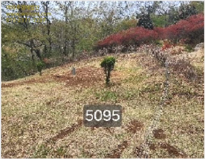 »çÁø8¹øÂ° | 2025Ÿ°æ5095 | ºÎ»ê±¤¿ª½Ã ±âÀ屺 Á¤°üÀ¾ ¿ùÆò¸® ÀӾ߰æ¸Å