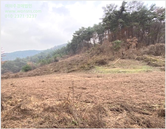 »çÁø2¹øÂ° | 2024Ÿ°æ33052 | °¿øÆ¯º°ÀÚÄ¡µµ Æòⱺ ¹Ìź¸é À²Ä¡¸® Àü°æ¸Å