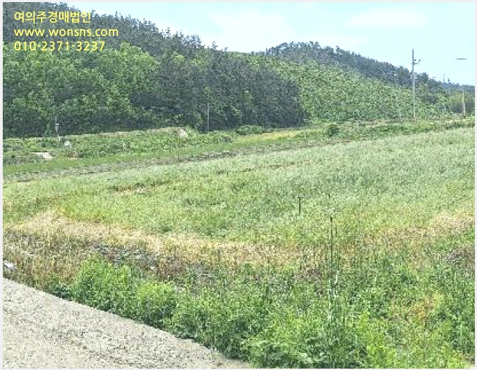 »çÁø7¹øÂ° | 2025Ÿ°æ5258 | Àü¶ó³²µµ °Áø±º ¸¶·®¸é ¸¶·®¸® ´ä°æ¸Å