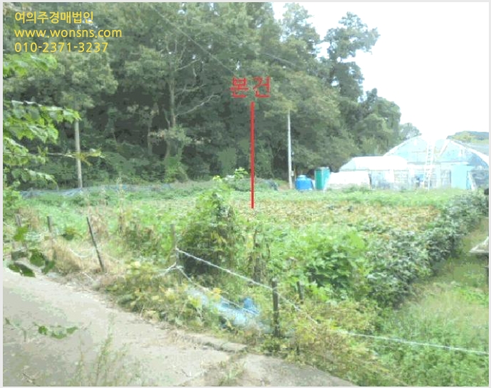 »çÁø6¹øÂ° | 2025Ÿ°æ2176 | ÃæÃ»ºÏµµ À½¼º±º ±Ý¿ÕÀ¾ À¯Ã̸® ´ëÁö°æ¸Å