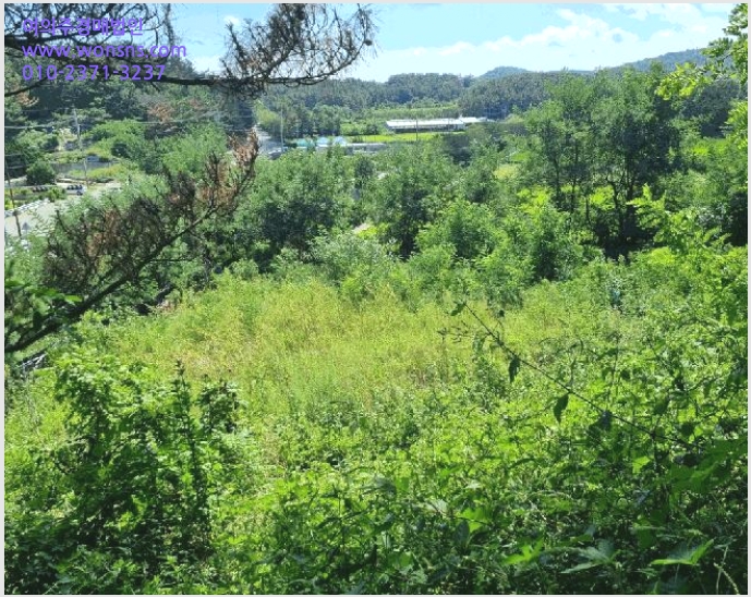 »çÁø7¹øÂ° | 2025Ÿ°æ485 | °æ»óºÏµµ Æ÷Ç׽à ³²±¸ Àå±â¸é ´ä°æ¸Å