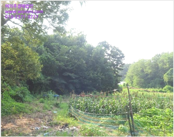 »çÁø1¹øÂ° | 2024Ÿ°æ3805 | °æ±âµµ ¿©Áֽà °¡³²À¾ ÅÂÆò¸® ÀӾ߰æ¸Å