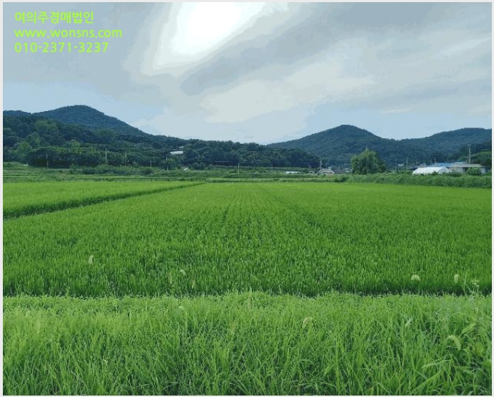 »çÁø3¹øÂ° | 2025Ÿ°æ15861 | ÃæÃ»³²µµ ¿¹»ê±º ±¤½Ã¸é Àº»ç¸® ´ä°æ¸Å