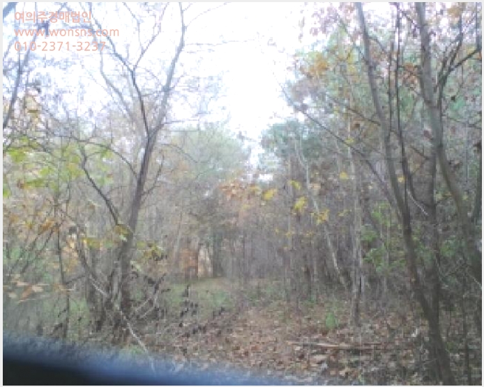 »çÁø3¹øÂ° | 2025Ÿ°æ50939 | °¿øÆ¯º°ÀÚÄ¡µµ ¾ç±¸±º ±¹ÅäÁ¤Áß¾Ó¸é °¡¿ÀÀÛ¸® Àü°æ¸Å