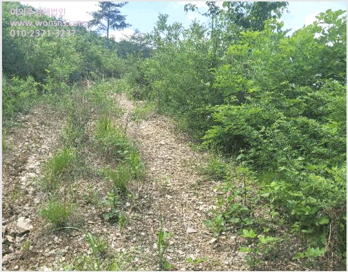 »çÁø7¹øÂ° | 2025Ÿ°æ787 | °æ»óºÏµµ ûµµ±º ¸ÅÀü¸é À忬¸® ÀӾ߰æ¸Å