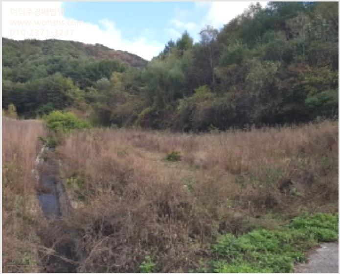 »çÁø10¹øÂ° | 2025Ÿ°æ2152 | °¿øÆ¯º°ÀÚÄ¡µµ ÀÎÁ¦±º »ó³²¸é Çϳ²¸® Àü°æ¸Å