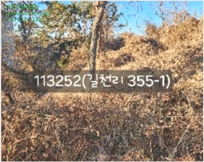 »çÁø6¹øÂ° | 2024Ÿ°æ113252 | ºÎ»ê±¤¿ª½Ã ±âÀ屺 Àå¾ÈÀ¾ ±æÃµ¸® Àü°æ¸Å