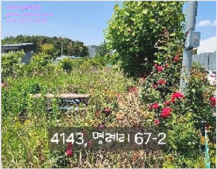 »çÁø8¹øÂ° | 2024Ÿ°æ4143 | ºÎ»ê±¤¿ª½Ã ±âÀ屺 Àå¾ÈÀ¾ ¸í·Ê¸® ´ä°æ¸Å