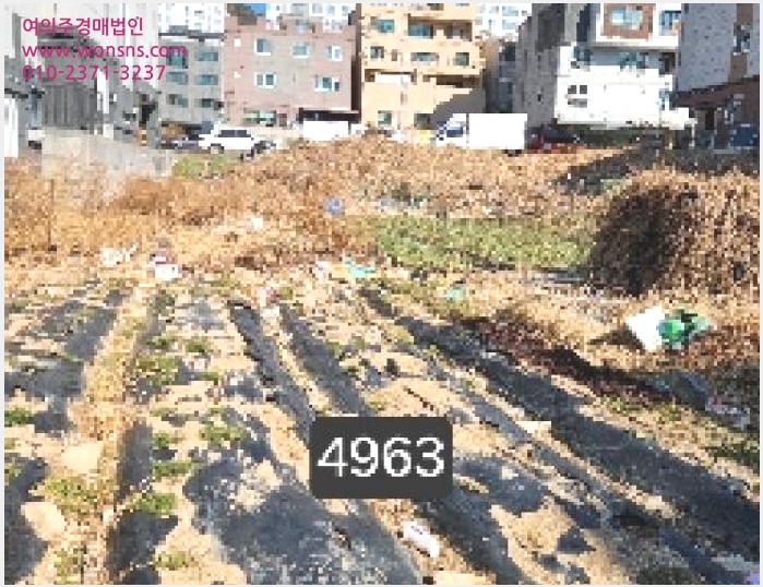 »çÁø7¹øÂ° | 2025Ÿ°æ4963 | ºÎ»ê±¤¿ª½Ã ±âÀ屺 Á¤°üÀ¾ ¹æ°î¸® ´ëÁö°æ¸Å