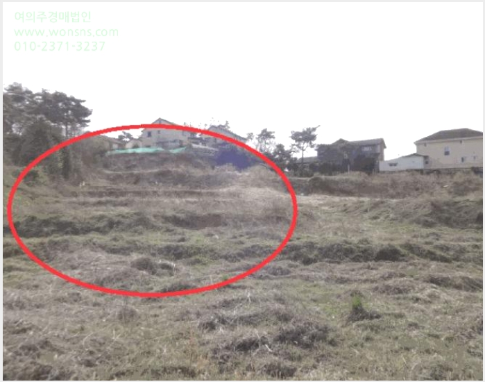 »çÁø8¹øÂ° | 2025Ÿ°æ55458 | °æ±âµµ ȼº½Ã ¿ìÁ¤À¾ Ȼ긮 ÀӾ߰æ¸Å