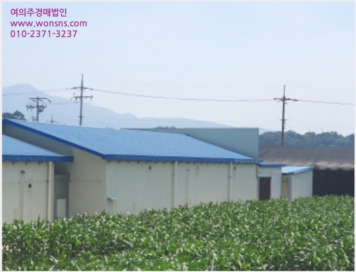 »çÁø5¹øÂ° | 2023Ÿ°æ2324 | °æ±âµµ ¾çÆò±º ÁöÆò¸é ¼ö°î¸® â°í°æ¸Å