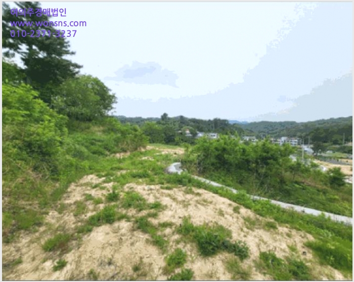 »çÁø2¹øÂ° | 2025Ÿ°æ30566 | °¿øÆ¯º°ÀÚÄ¡µµ »ïô½Ã ±Ù´ö¸é ÀåÈ£¸® Àü°æ¸Å