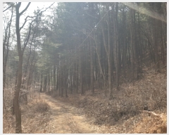  2006Ÿ��10022  �����