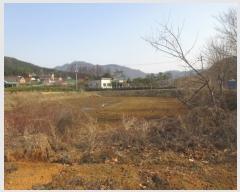  2006Ÿ��10022  �����