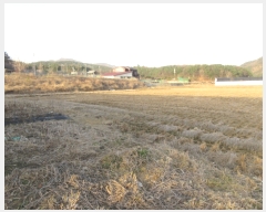  2006Ÿ��10022  �����