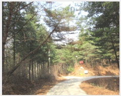  2006Ÿ��10022  �����