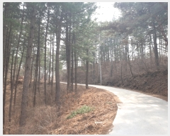  2006Ÿ��10022  �����