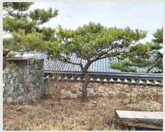  2015Ÿ15050   ϻ굿 縮 642-9      ()