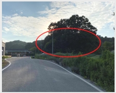  2016Ÿ��9405 ��� �ȼ��� �̾�� ������ ��80-1      ����(�Ӿ�)���