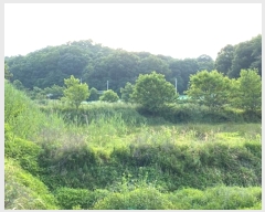  2016Ÿ��9405 ��� �ȼ��� �̾�� ������ ��80-1      ����(�Ӿ�)���