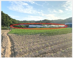  2016Ÿ��9405 ��� �ȼ��� �̾�� ������ ��80-1      ����(�Ӿ�)���