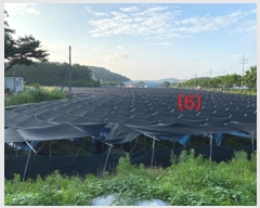  2016Ÿ��9405 ��� �ȼ��� �̾�� ������ ��80-1      ����(�Ӿ�)���