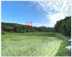  2016Ÿ��9405 ��� �ȼ��� �̾�� ������ ��80-1      ����(�Ӿ�)���