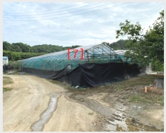  2016Ÿ��9405 ��� �ȼ��� �̾�� ������ ��80-1      ����(�Ӿ�)���