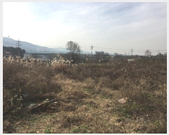  2016Ÿ��53551 ��� û�ֽ� û���� ������ ������ 11     ����(��)���