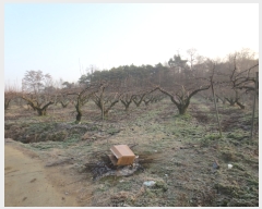  2016Ÿ��104752 �泲 õ�Ƚ� ���ϱ� ��ȯ�� ��ȫ�� ��8-42     ����(�Ӿ�)���