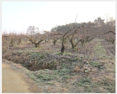  2016Ÿ��104752 �泲 õ�Ƚ� ���ϱ� ��ȯ�� ��ȫ�� ��8-42     ����(�Ӿ�)���