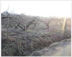  2016Ÿ��104752 �泲 õ�Ƚ� ���ϱ� ��ȯ�� ��ȫ�� ��8-42     ����(�Ӿ�)���