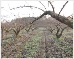  2016Ÿ��104752 �泲 õ�Ƚ� ���ϱ� ��ȯ�� ��ȫ�� ��8-42     ����(�Ӿ�)���