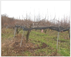  2016Ÿ��104752 �泲 õ�Ƚ� ���ϱ� ��ȯ�� ��ȫ�� ��8-42     ����(�Ӿ�)���