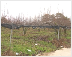  2016Ÿ��104752 �泲 õ�Ƚ� ���ϱ� ��ȯ�� ��ȫ�� ��8-42     ����(�Ӿ�)���