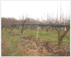  2016Ÿ��104752 �泲 õ�Ƚ� ���ϱ� ��ȯ�� ��ȫ�� ��8-42     ����(�Ӿ�)���