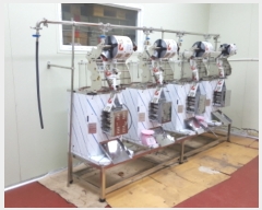  2016Ÿ��1852 ��� ������ ��ǰ�� �ž縮 283      ����,â�����