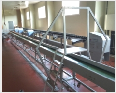  2016Ÿ��1852 ��� ������ ��ǰ�� �ž縮 283      ����,â�����