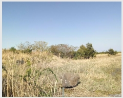  2016Ÿ2835  ֽ  ۴縮 227      (Ӿ)