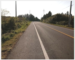  2016Ÿ2835  ֽ  ۴縮 227      (Ӿ)