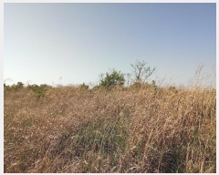  2016Ÿ2835  ֽ  ۴縮 227      (Ӿ)