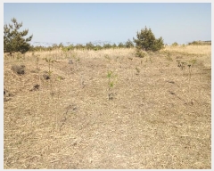  2016Ÿ2835  ֽ  ۴縮 227      (Ӿ)