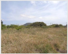  2016Ÿ2835  ֽ  ۴縮 227      (Ӿ)