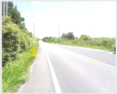  2016Ÿ��6035 ���� ���ֽ� ������ �۴縮 13-1      ����(����)���