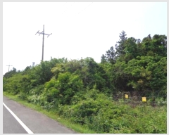  2016Ÿ��6035 ���� ���ֽ� ������ �۴縮 13-1      ����(����)���