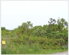  2016Ÿ��6035 ���� ���ֽ� ������ �۴縮 13-1      ����(����)���