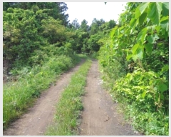  2016Ÿ��6035 ���� ���ֽ� ������ �۴縮 13-1      ����(����)���